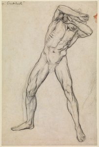 Study of a male nude for 