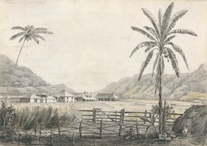 A View of Hall-head Sugar Plantation, Jamaica by Edward Kennion