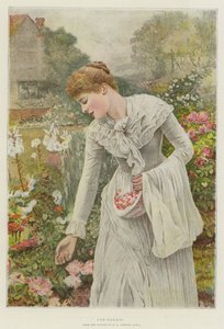 Pot-Pourri