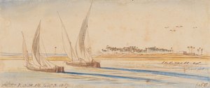 Nestet: 3:30 P.M., 3 Jan. 1867 (50) by Edward Lear