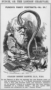 Charles Darwin, Punch