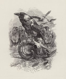 Illustration for The Water-Babies by Charles Kingsley