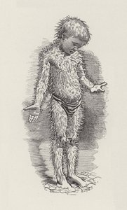 Illustration for The Water-Babies by Charles Kingsley