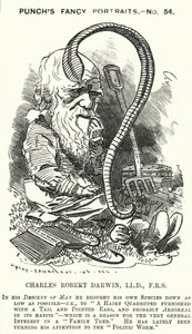 Charles Darwin, English naturalist and biologist by Edward Linley (after) Sambourne