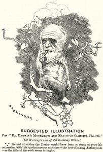 Punch Cartoon: Suggested Illustration for Dr Darwin