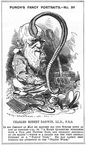 Charles Darwin, English Naturalist. Evolution by Natural Selection. Cartoon by Edward Linley Sambourne in the Fancy Portrait Series in Punch, London 1881