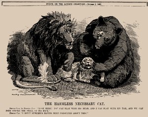 The Harmless Necessary Cat
