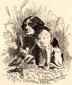 William GGV Vernon Harcourt (1827-1904) by Edward Linley Sambourne