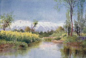 On the Dal Lake in Spring