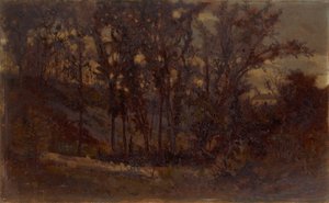 Untitled forest scene, fallen tree in foreground and house in background, 1873