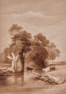 Landscape with stream