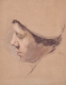 Profile of a Man