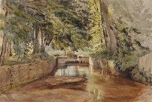 River Scene with Semi-Dry River Bed