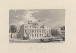 Deepdene near Dorking