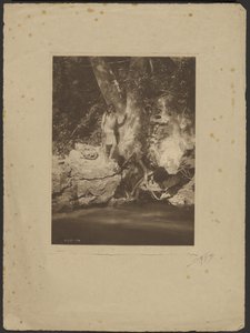 Apache-Black River (By the Sycamore) by Edward S. Curtis