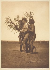 Arikara Medicine Ceremony - the Ducks by Edward S. Curtis