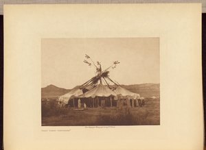 Gray Dawn - Cheyenne