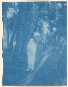 Waiting in the Forest - Cheyenne by Edward S. Curtis
