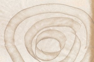 Fluid Organic Curves by Edward Selkirk