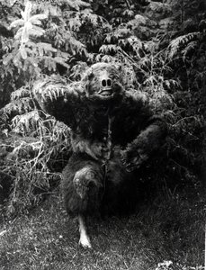 Nane-Qagyuhl, Native American Costume by Edward Sheriff Curtis