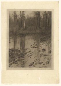 The Pool by Edward Steichen