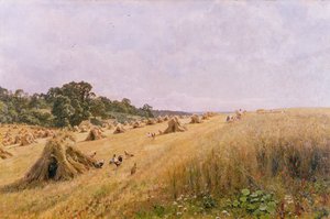 Cornfield Harvest by Edward Wilkins Waite