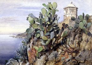 Cactus Opuntia, Monaco by Edward William Cooke