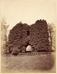 View of a Folly in Roundhay Park