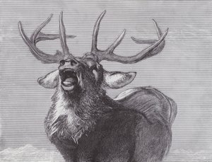 A Challenge by Edwin (after) Landseer