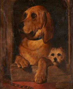 Dignity And Impudence