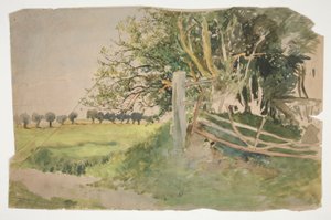 Landscape with Trees and Broken Fence