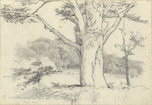 Near Lyndhurst, August 1871 by Edwin Austin Abbey