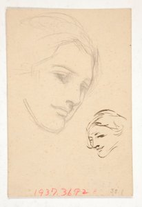 Portrait of an Unidentified Woman
