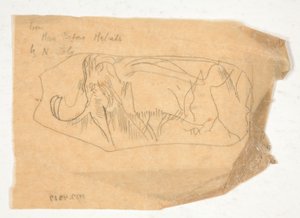 Sketch of a Rhinoceros-like Animal, from Man Before Metals by N. Joly