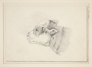 Sketch of a Sheep by Edwin Austin Abbey
