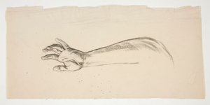 Sketch of an Arm and Hand