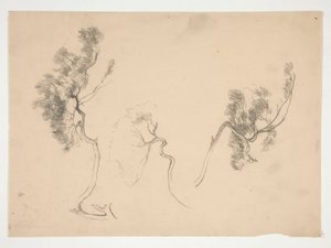 Sketches of branches