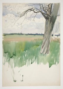 Study of a Field and Tree