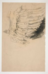 Study of a Wing by Edwin Austin Abbey