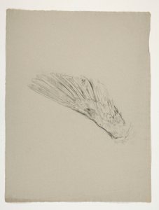 Study of wing for the Infancy of Galahad, from the Quest of the Holy Grail (a series of fifteen paintings for the Boston Public Library, completed in 1901) by Edwin Austin Abbey