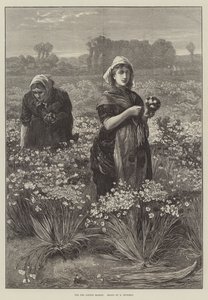 For the London Market (engraving)