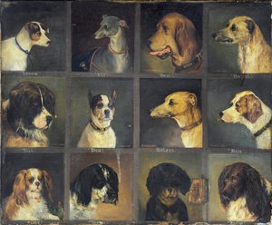 Twelve Favourite Dogs, 1883 by Edwin Frederick Holt
