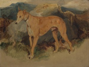 A Deerhound by Edwin Landseer