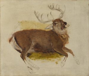 Dying Stag by Edwin Landseer