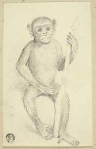 Orangutan by Edwin Henry Landseer