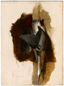Study of a Dead Heron by Edwin Landseer