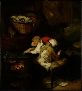 The Cat