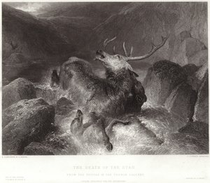 The Death of the Stag by Edwin Landseer