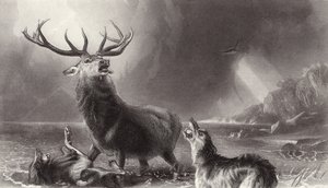 The Stag at Bay by Edwin Landseer