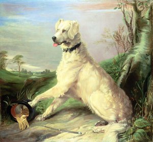 Waiting for the Master by Edwin Landseer